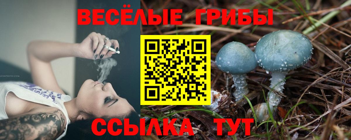 Псилоцибиновые грибы GOLDEN TEACHER  где можно купить наркотик  Анапа  Вход с VPN 